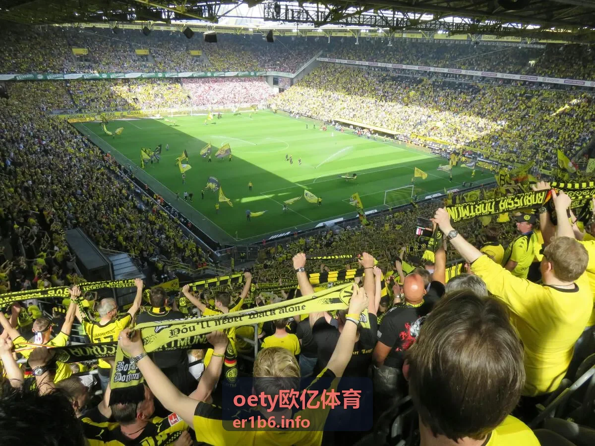 oety欧亿体育文章封面